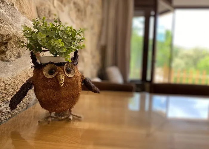 컨트리하우스 Terrazas De Chilla